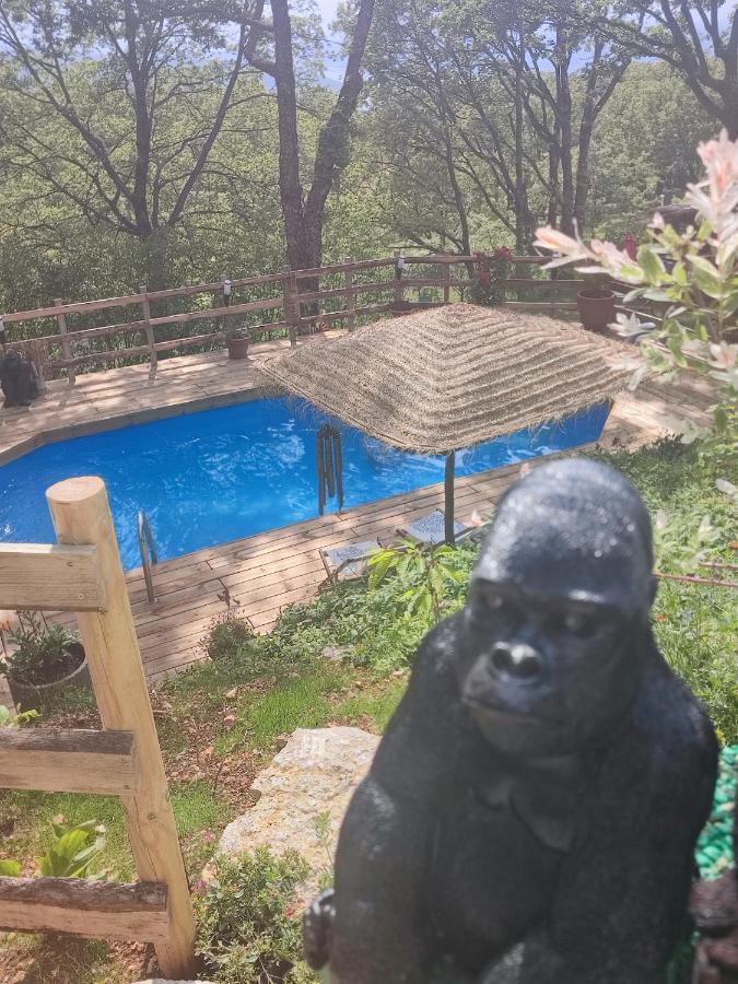 La Lyalis Bed & Breakfast เอกีนส์ ภายนอก รูปภาพ