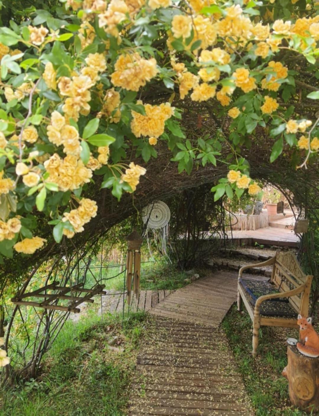 La Lyalis Bed & Breakfast เอกีนส์ ภายนอก รูปภาพ